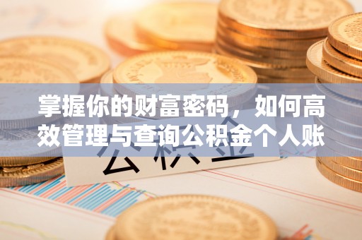 晋城掌握你的财富密码，如何高效管理与查询公积金个人账户信息