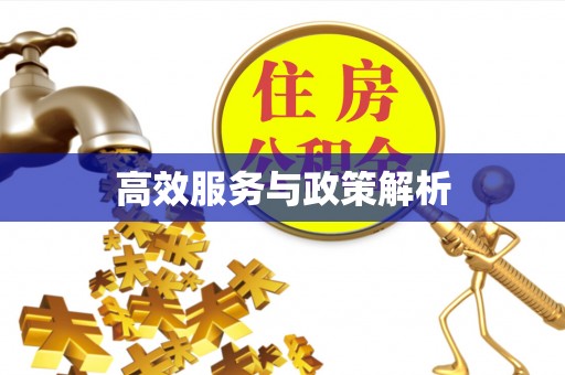 晋城高效服务与政策解析