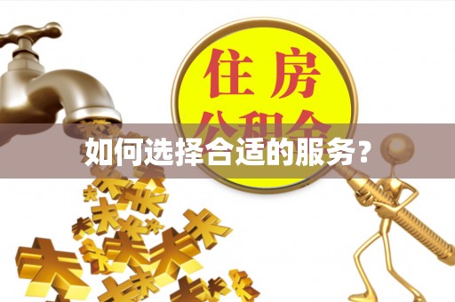 晋城如何选择合适的服务？