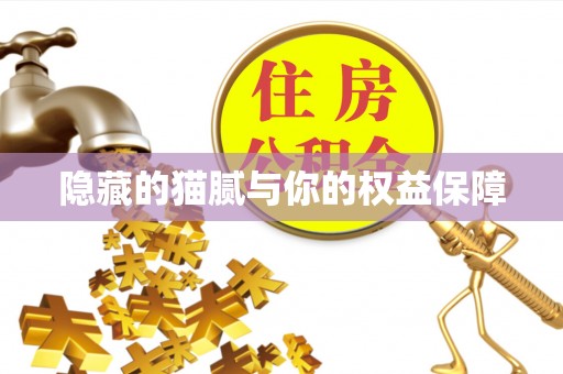 晋城隐藏的猫腻与你的权益保障