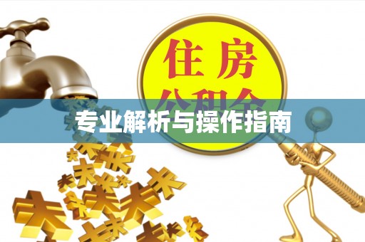 晋城专业解析与操作指南