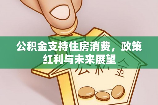 晋城公积金支持住房消费，政策红利与未来展望